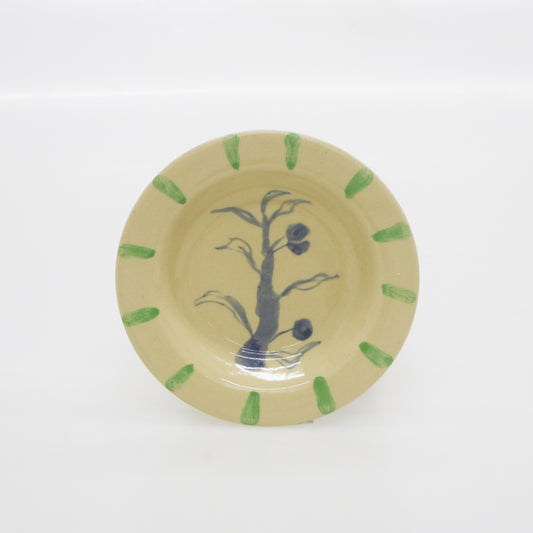 Terra Plate